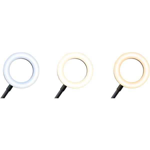 LED Selfie Dual Ring Light SLR-12 Bi-Colour - Image 6