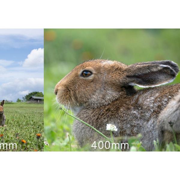 Tamron 50-400mm f/4.5-6.3 DI III VC VXD Nikon Z - Image 2